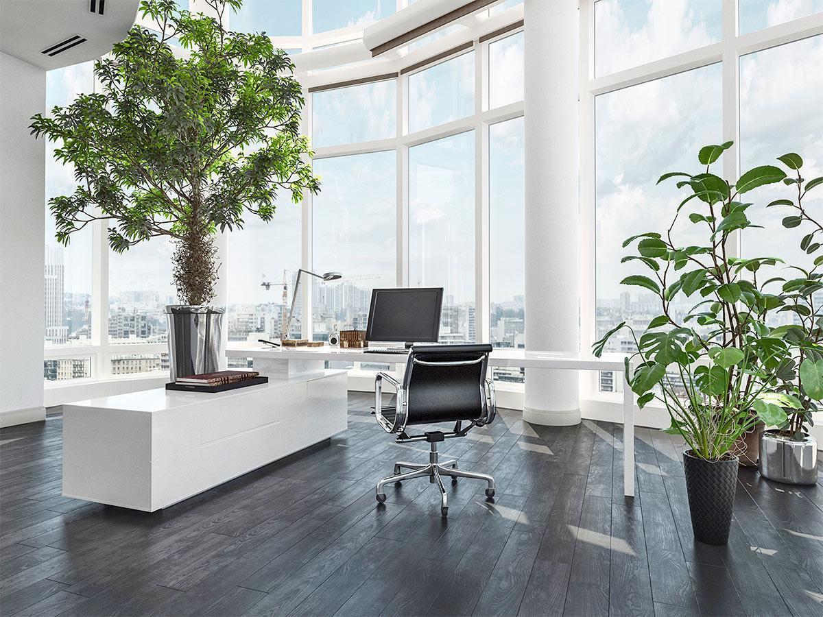 Thiết kế nội thất căn hộ phong cách Eco cho người yêu thiên nhiên